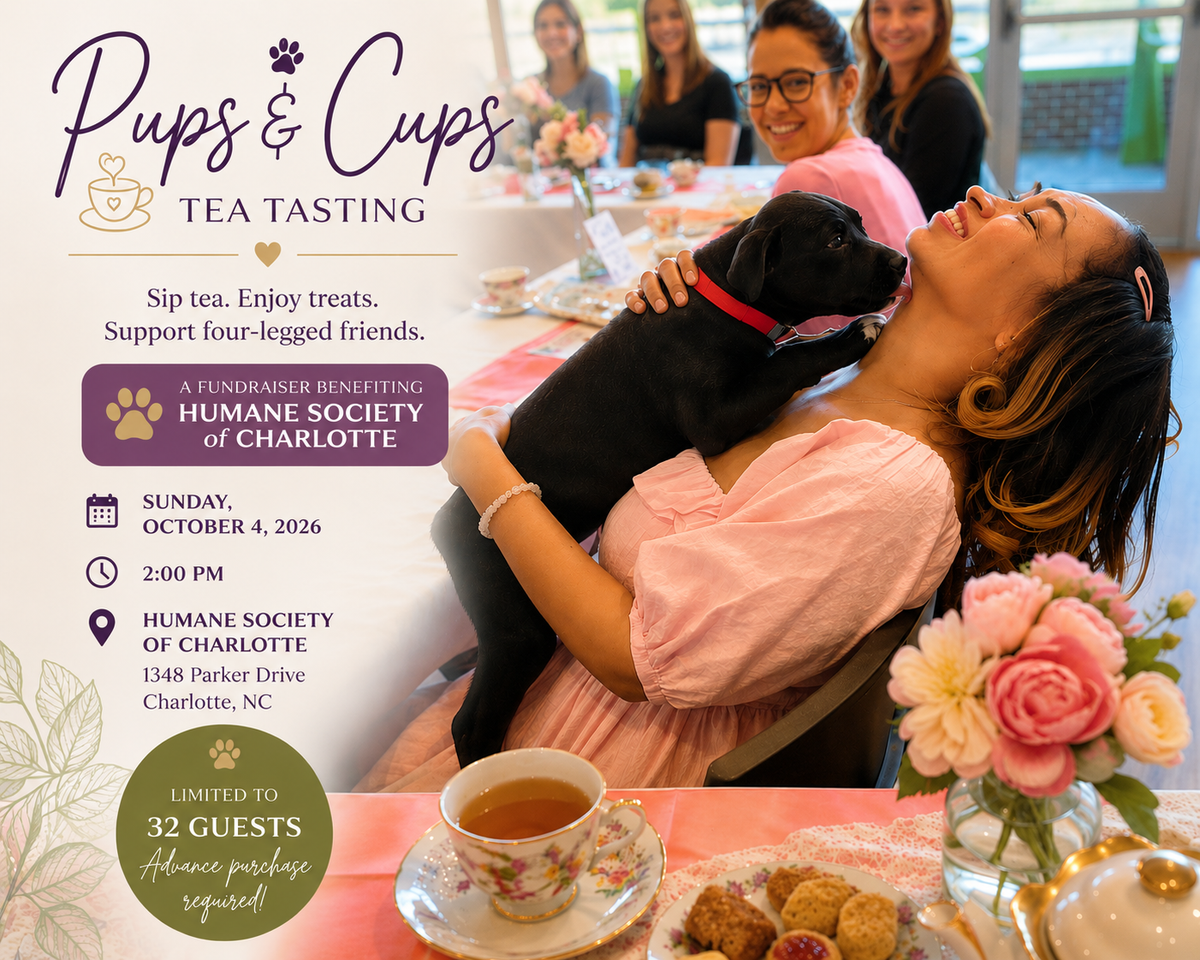 Pups & Cups Tea Tasting